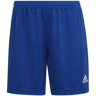 Spodenki damskie adidas Entrada 22 niebieskie HH9998 XS Adidas teamwear