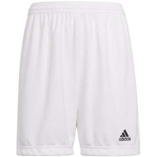 Spodenki dla dzieci adidas Entrada 22 białe HG6292 140cm Adidas teamwear