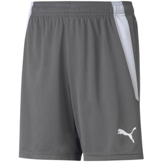 Spodenki dla dzieci Puma teamLIGA Shorts Jr Smoked szare 704931 13 116cm Puma