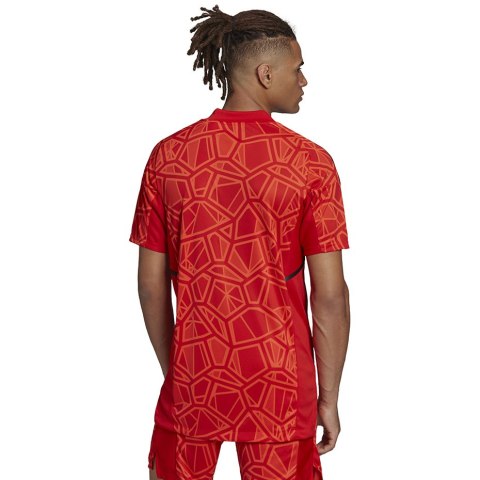 Koszulka męska Condivo 22 Goalkeeper Jersey Short Sleeve czerwona H21238 S Adidas teamwear