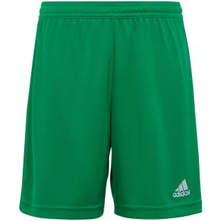 Spodenki dla dzieci adidas Entrada 22 zielone IC7410 140cm Adidas teamwear
