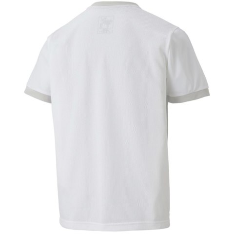 Koszulka dla dzieci Puma teamGOAL 23 Jersey biała 704160 04 140cm Puma