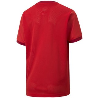 Koszulka dla dzieci Puma teamGOAL 23 Jersey czerwona 704160 01 152cm Puma