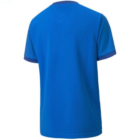 Koszulka dla dzieci Puma teamGOAL 23 Jersey niebieska 704160 02 164cm Puma