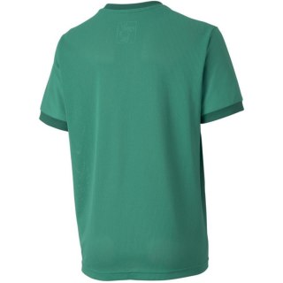 Koszulka dla dzieci Puma teamGOAL 23 Jersey zielona 704160 05 128cm Puma