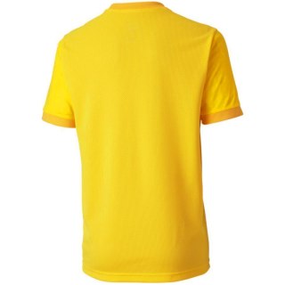 Koszulka dla dzieci Puma teamGOAL 23 Jersey żółta 704160 07 164cm Puma