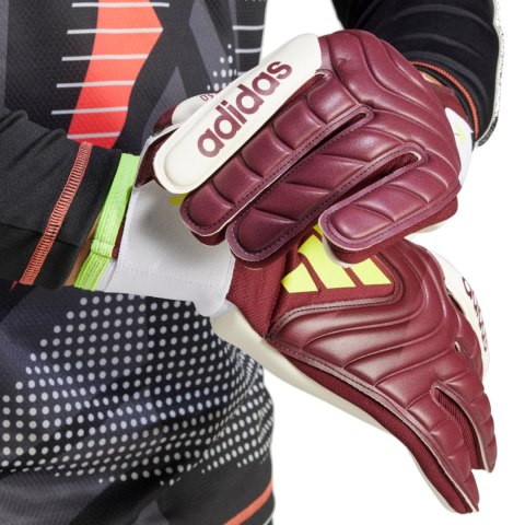 Rękawice bramkarskie adidas Copa GL League bordowe IQ4012 10,5 Adidas teamwear