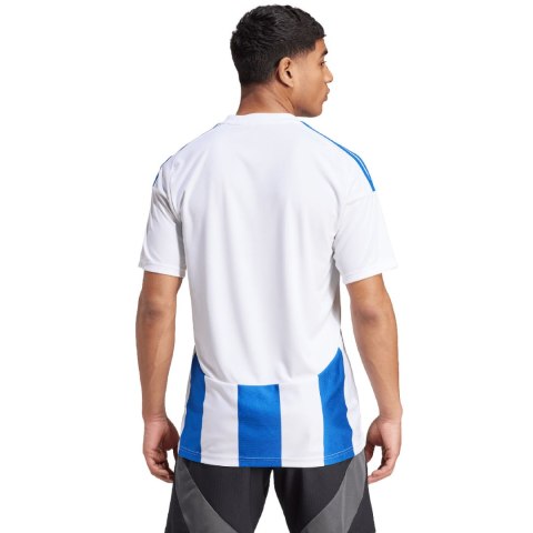 Koszulka męska adidas Striped 24 Jersey biało-niebieska IW2144 L Adidas teamwear