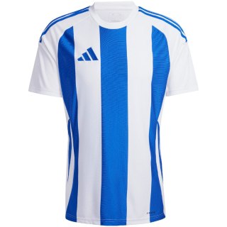 Koszulka męska adidas Striped 24 Jersey biało-niebieska IW2144 S Adidas teamwear