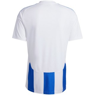 Koszulka męska adidas Striped 24 Jersey biało-niebieska IW2144 S Adidas teamwear