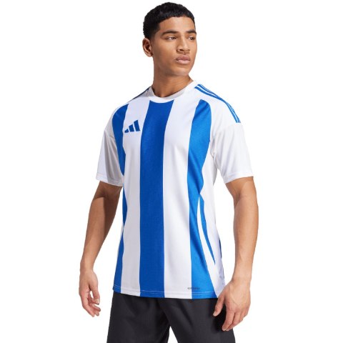 Koszulka męska adidas Striped 24 Jersey biało-niebieska IW2144 S Adidas teamwear