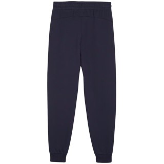 Spodnie dla dzieci Puma Team Goal granatowe 658601 06 116cm Puma