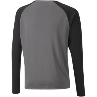 Bluza bramkarska dla dzieci Puma teamPACER GK LS Jersey szara 704939 43 128cm Puma