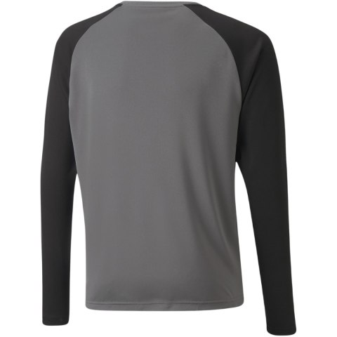 Bluza bramkarska dla dzieci Puma teamPACER GK LS Jersey szara 704939 43 152cm Puma