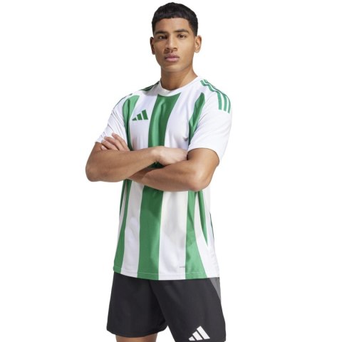 Koszulka męska adidas Striped 24 Jersey biało-zielona IW2148 2XL Adidas teamwear
