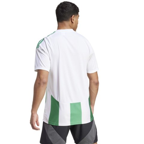 Koszulka męska adidas Striped 24 Jersey biało-zielona IW2148 2XL Adidas teamwear