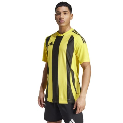 Koszulka męska adidas Striped 24 Jersey żółto-czarna IW2146 S Adidas teamwear