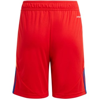 Spodenki dla dzieci adidas Tiro 24 czerwone IT2422 140cm Adidas teamwear