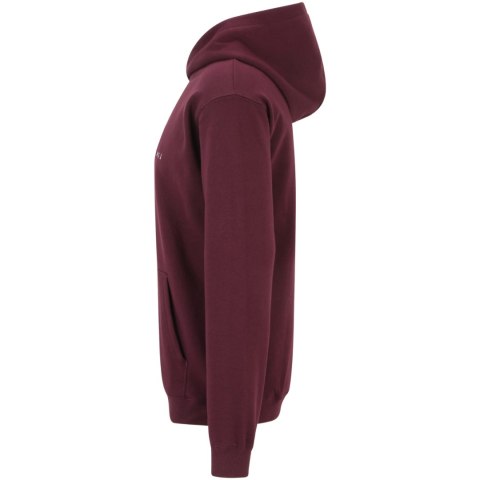 Bluza męska Fila Brunssum burgundowa FAU0145 40107 S Fila