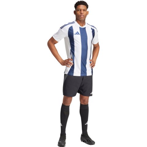 Koszulka męska adidas Striped 24 Jersey biało-niebieska IW4554 S Adidas teamwear