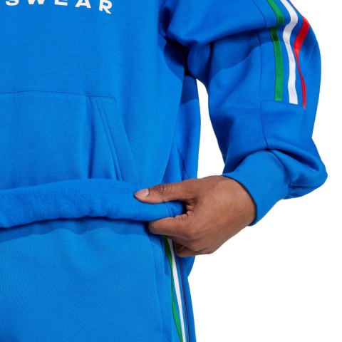 Bluza męska adidas House of Tiro Nations Pack niebieska IY4532 S Adidas