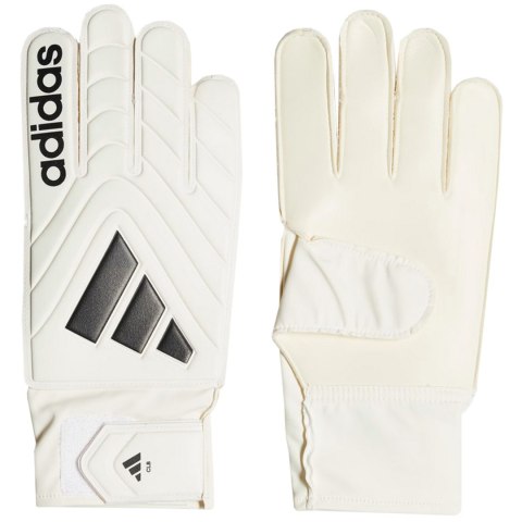 Rękawice bramkarskie adidas Copa Club beżowe IQ4016 Adidas teamwear