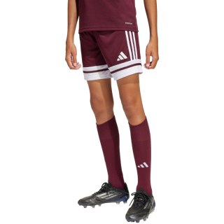 Spodenki dla dzieci adidas Squadra 25 bordowe JC8665 128cm Adidas teamwear