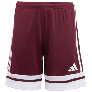 Spodenki dla dzieci adidas Squadra 25 bordowe JC8665 152cm Adidas teamwear