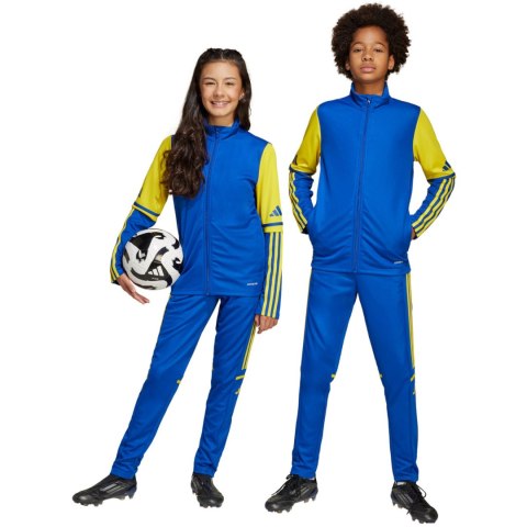 Spodnie dla dzieci adidas Squadra 25 Training niebiesko-żółte JP3154 164cm Adidas teamwear