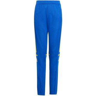 Spodnie dla dzieci adidas Squadra 25 Training niebiesko-żółte JP3154 164cm Adidas teamwear