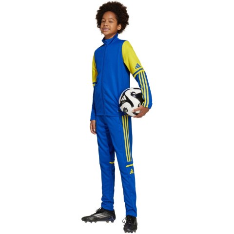 Spodnie dla dzieci adidas Squadra 25 Training niebiesko-żółte JP3154 164cm Adidas teamwear