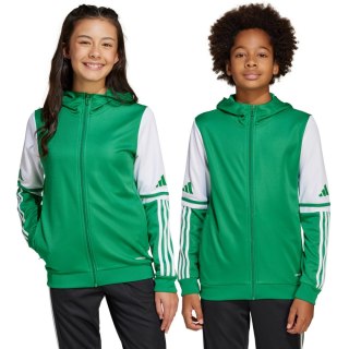 Bluza dla dzieci adidas Squadra 25 Hoody zielono-biała JP3163 152cm Adidas teamwear