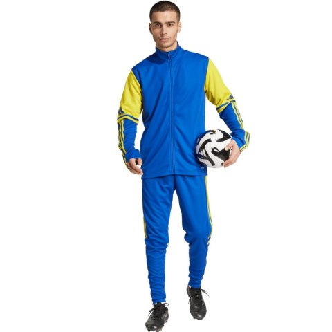 Spodnie męskie adidas Squadra 25 Training niebiesko-żółte JP3152 M Adidas teamwear