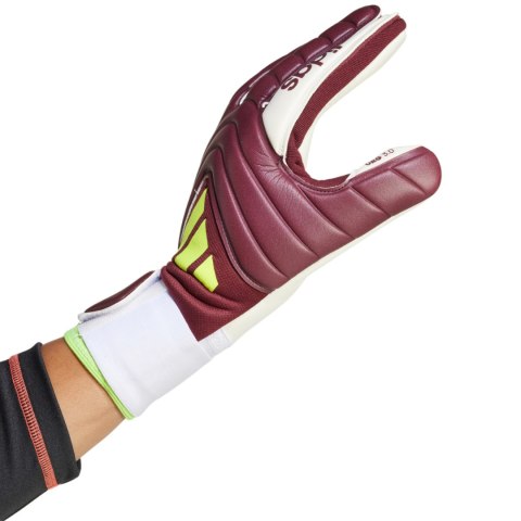 Rękawice bramkarskie adidas Copa GL League bordowe IQ4012 Adidas teamwear