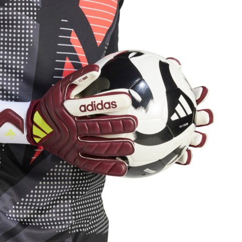 Rękawice bramkarskie adidas Copa GL League bordowe IQ4012 Adidas teamwear