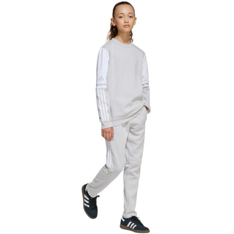 Spodnie dla dzieci adidas Squadra 25 Sweat szare JD4823 152cm Adidas teamwear