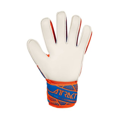 Rękawice bramkarskie Reusch Attrakt Solid Junior pomarańczowo-niebieskie 5572515 2290 7,5 Reusch