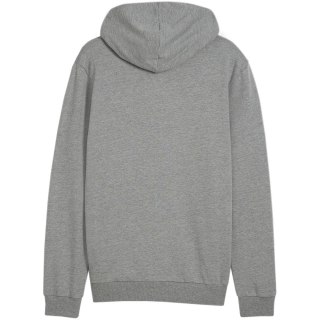 Bluza męska Puma Team Goal Casuals Hooded szara 658595 33 Puma