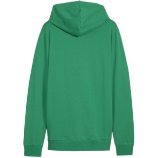 Bluza męska Puma Team Goal Casuals Hooded zielona 658595 05 Puma