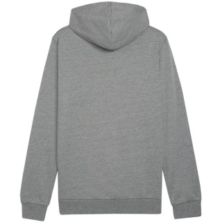 Bluza męska Puma Team Goal Casuals Hoody szara 658618 33 Puma