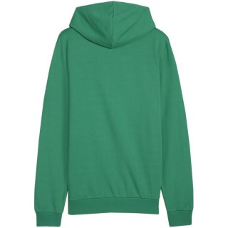 Bluza męska Puma Team Goal Casuals Hoody zielona 658618 05 Puma