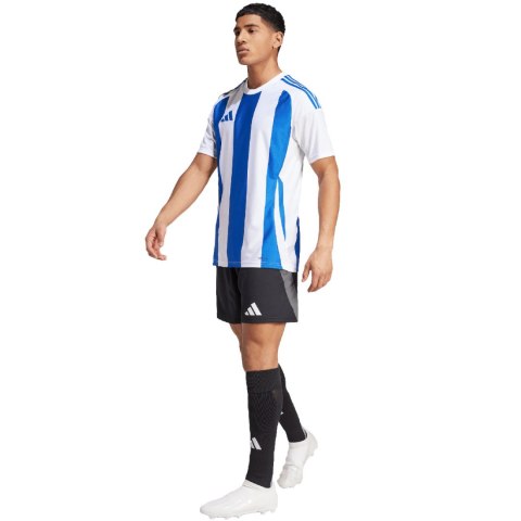 Koszulka męska adidas Striped 24 Jersey biało-niebieska IW2144 Adidas teamwear