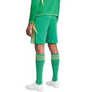 Spodenki męskie adidas Tiro 24 zielone IT2414 Adidas teamwear