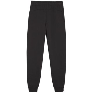 Spodnie dla dzieci Puma Team Goal czarne 658601 03 Puma