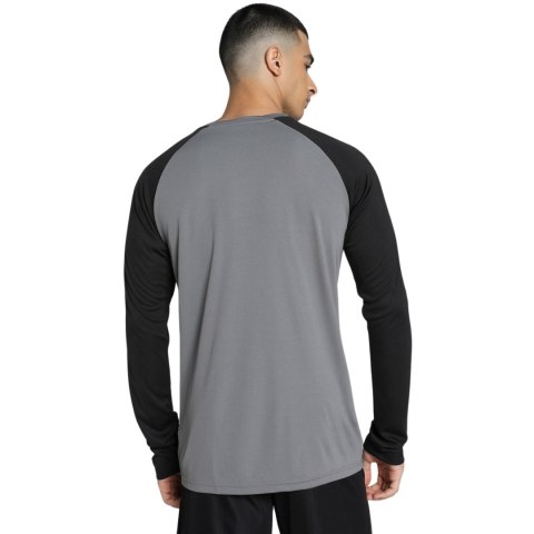 Bluza bramkarska męska Puma teamPACER GK LS szara 704933 43 Puma