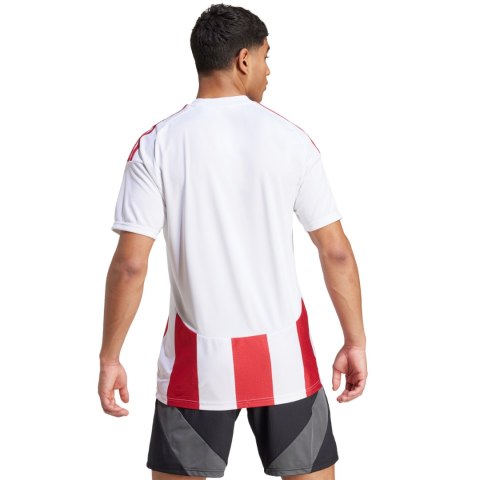 Koszulka męska adidas Striped 24 Jersey biało-czerwona IW2142 Adidas teamwear