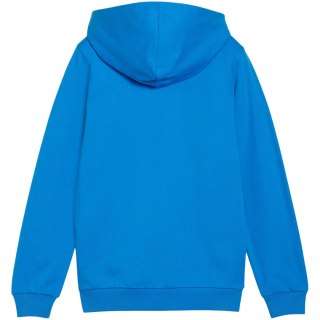 Bluza dla dzieci Puma teamGoal Casuals Hooded niebieska 658596 02 152cm Puma