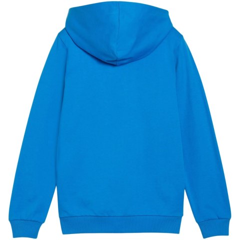 Bluza dla dzieci Puma teamGoal Casuals Hooded niebieska 658596 02 152cm Puma