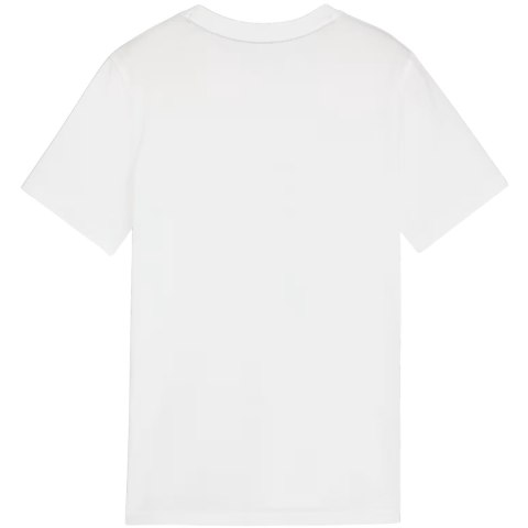 Koszulka dla dzieci Puma Team Goal Casuals Tee biała 658616 04 152cm Puma