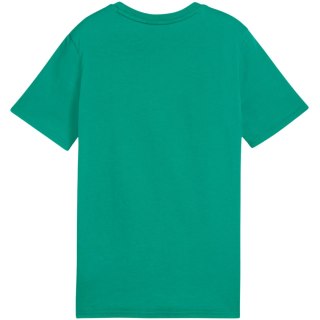 Koszulka dla dzieci Puma Team Goal Casuals Tee zielona 658616 05 140cm Puma